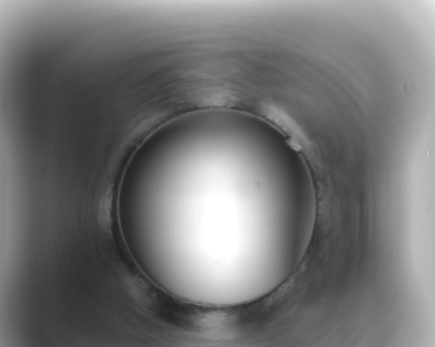 X0000089420058200706221200