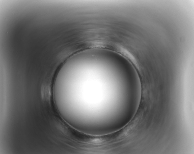 X0000089420059200706221200