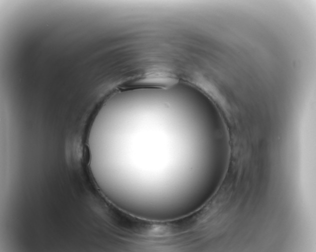 X0000089420060200706221201