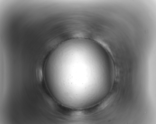 X0000089420061200706221201