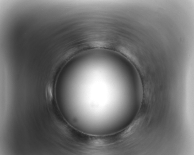 X0000089420062200706221201