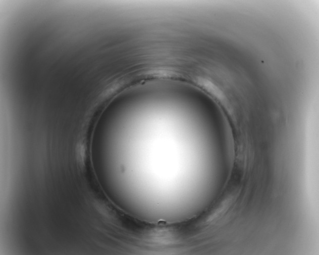 X0000089420063200706221201