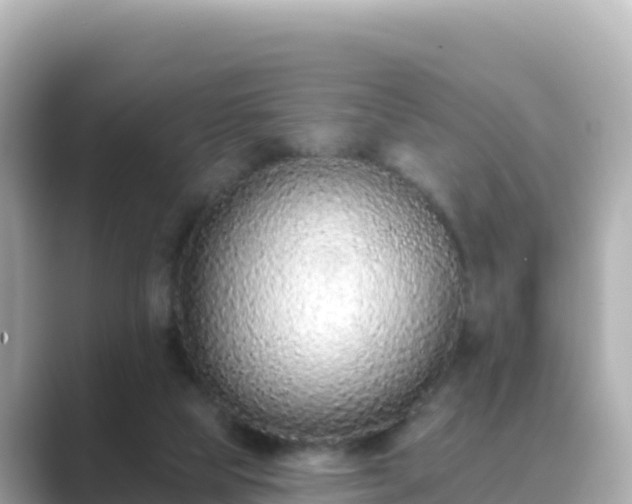 X0000089420065200706221201