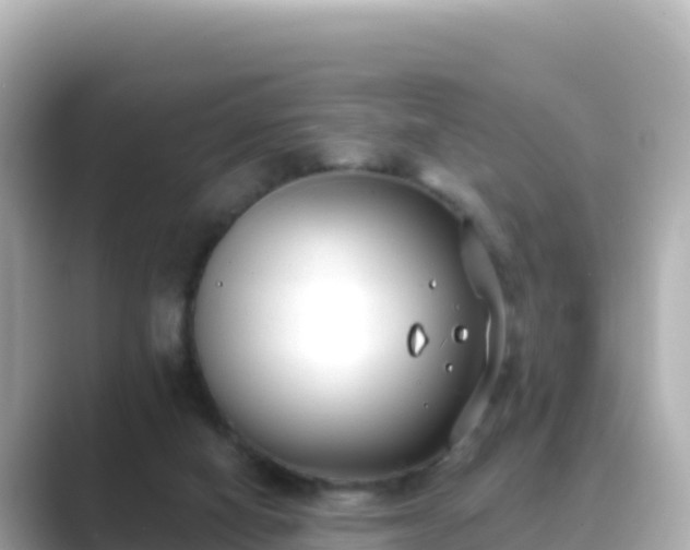 X0000089420066200706221201