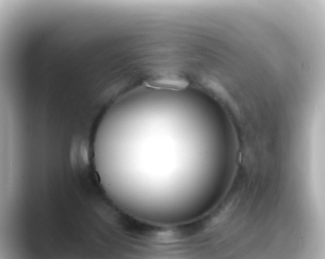 X0000089420068200706221201