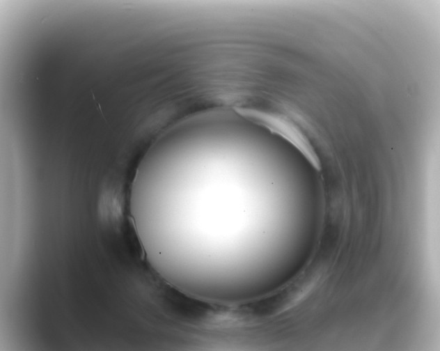 X0000089420072200706221201