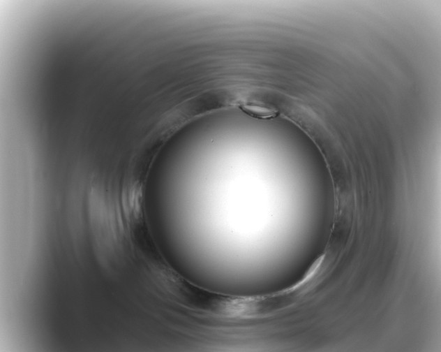 X0000089420094200706221201