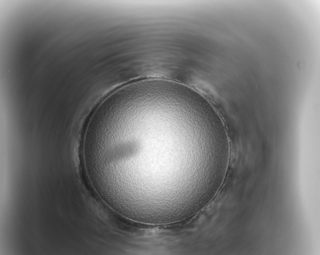 X0000089420098200706221200