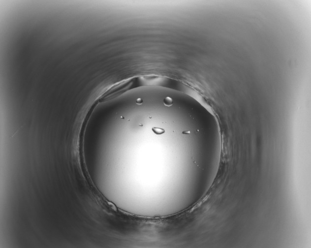 X0000089420099200706221200