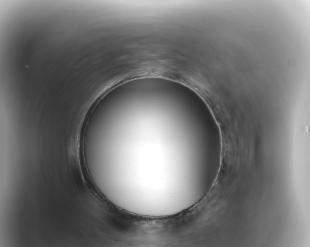 X0000089420100200706221200