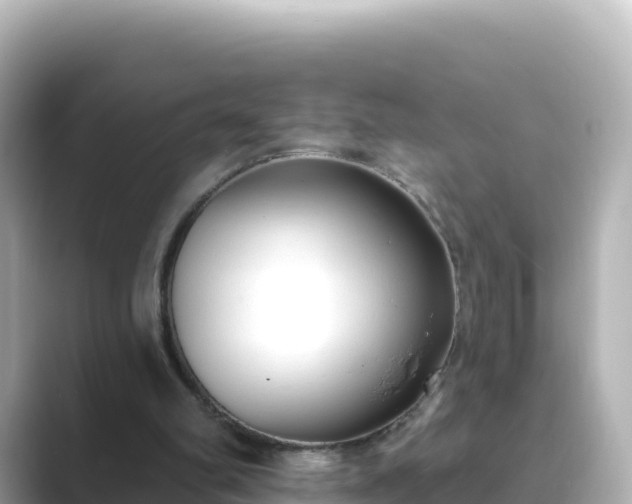 X0000089420102200706221200