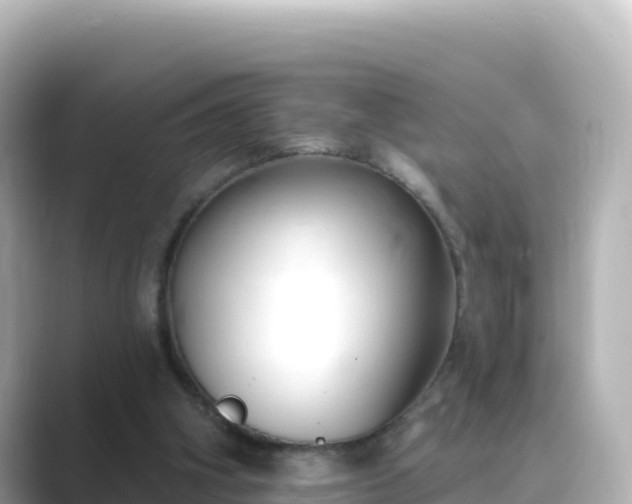 X0000089420106200706221200