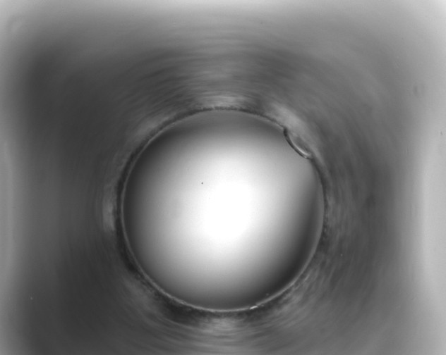 X0000089420107200706221200