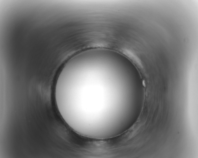 X0000089420108200706221200