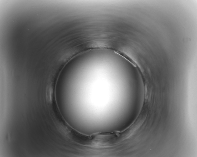 X0000089420109200706221200