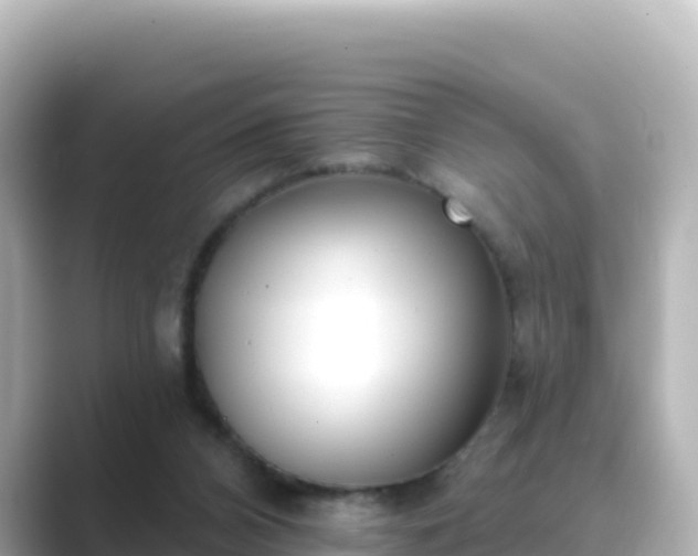 X0000089420112200706221200