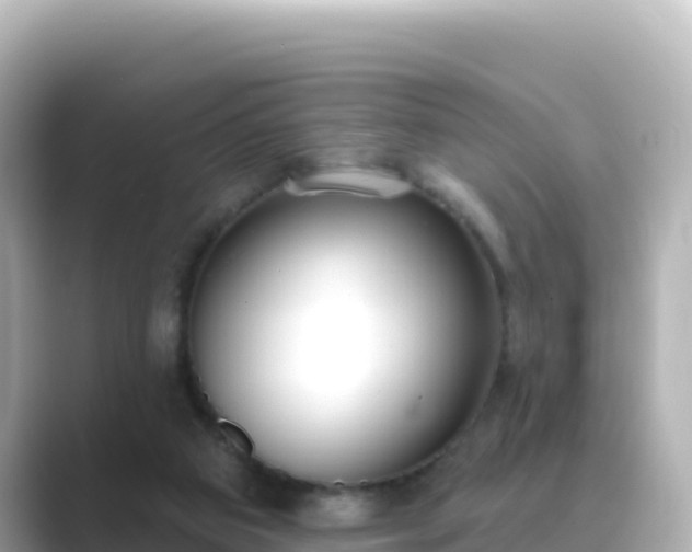 X0000089420113200706221200