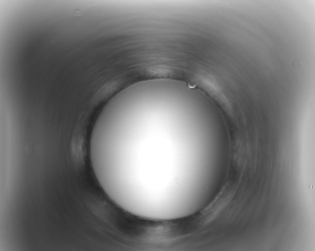 X0000089420116200706221200