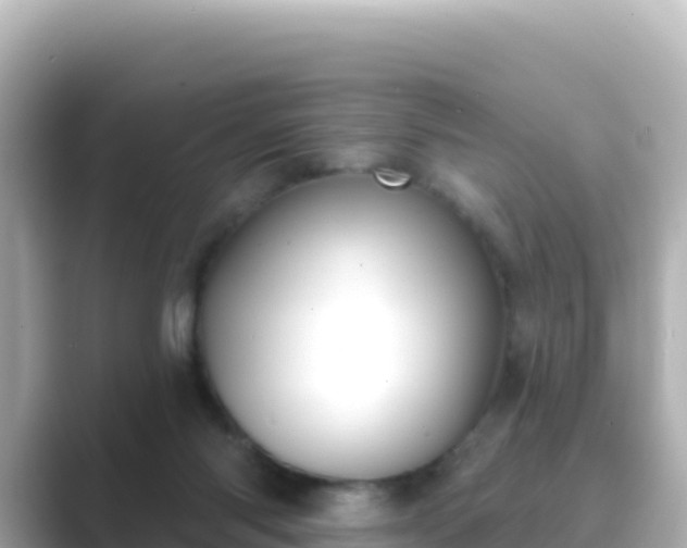 X0000089420118200706221200