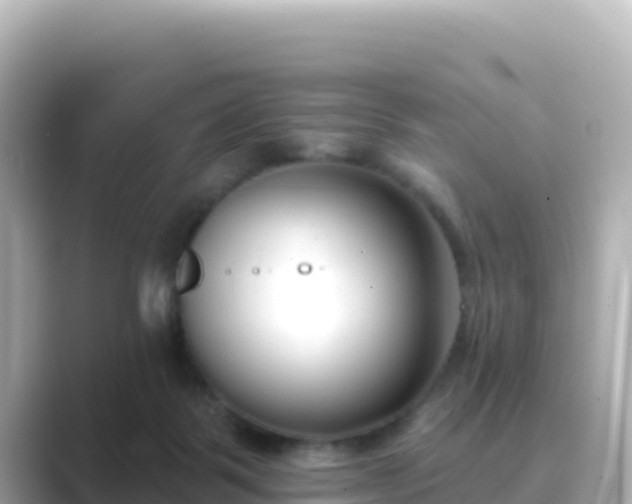 X0000089420123200706221200