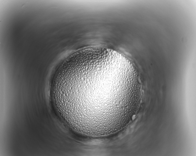 X0000089420149200706221159