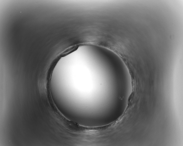 X0000089420150200706221159