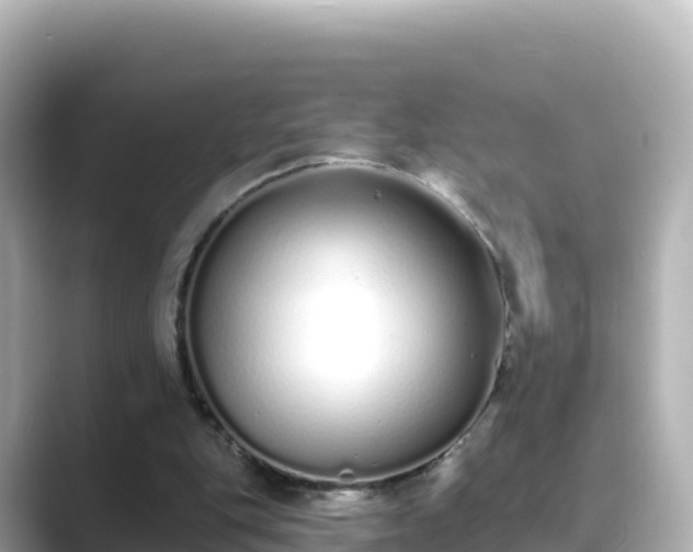 X0000089420151200706221159