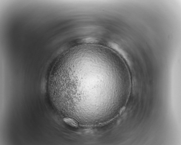 X0000089420153200706221159