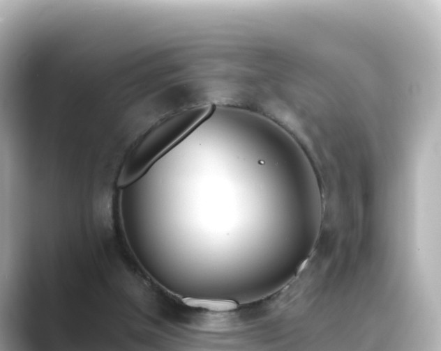 X0000089420154200706221159