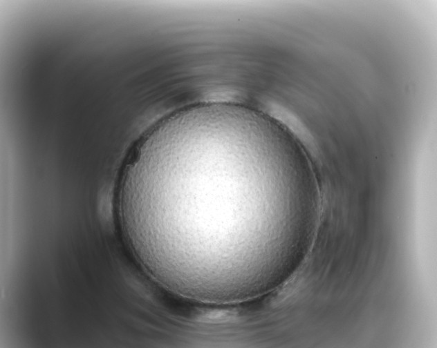 X0000089420155200706221159