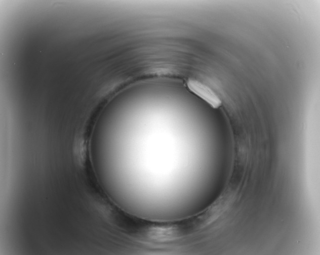 X0000089420160200706221159