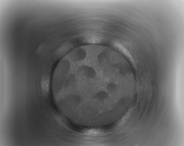 X0000089420163200706221159