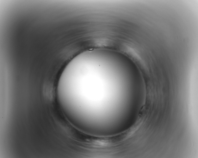 X0000089420164200706221159