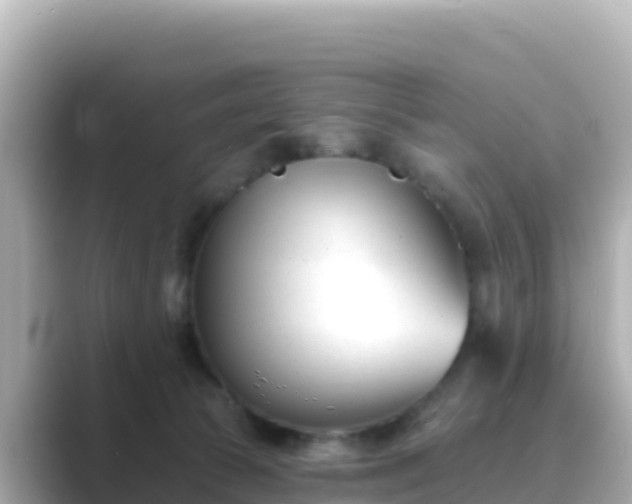 X0000089420177200706221200