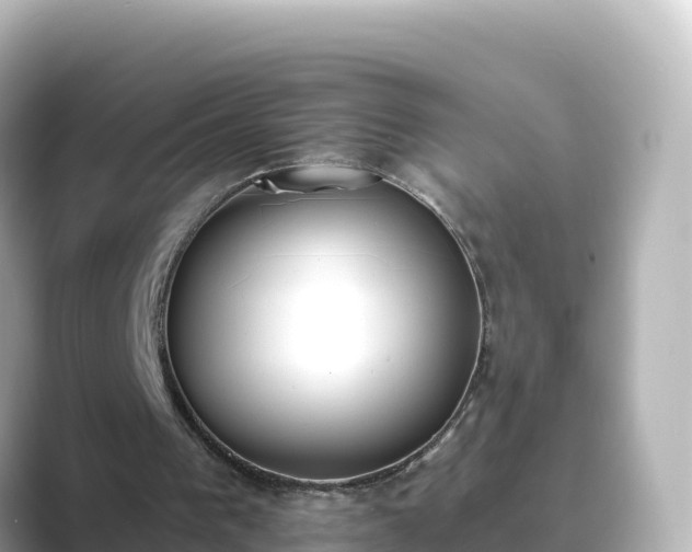 X0000089420193200706221159