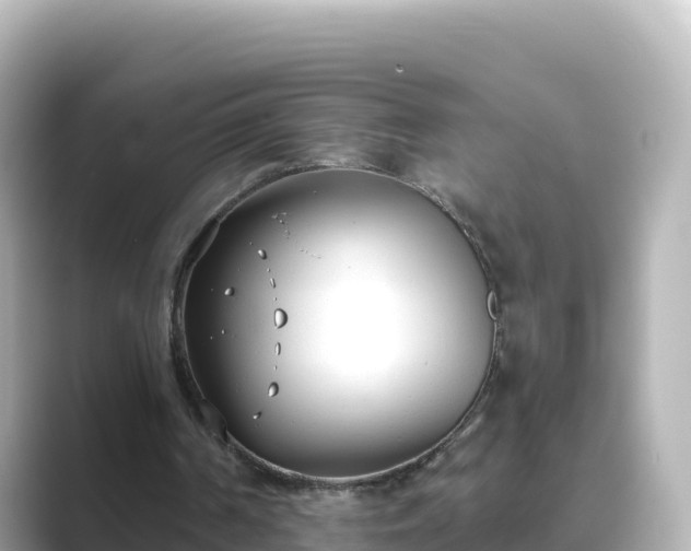 X0000089420194200706221159