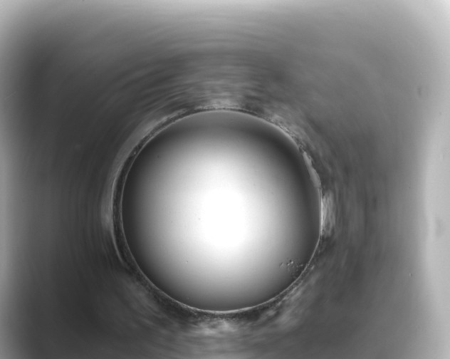 X0000089420195200706221159