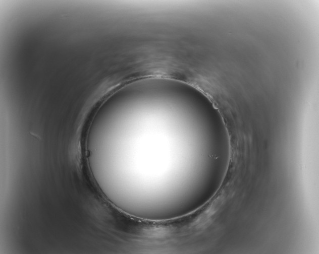 X0000089420198200706221159