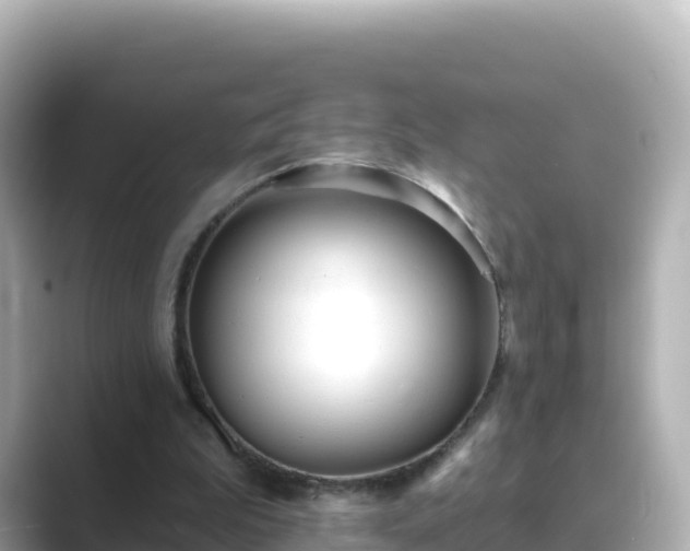 X0000089420199200706221159