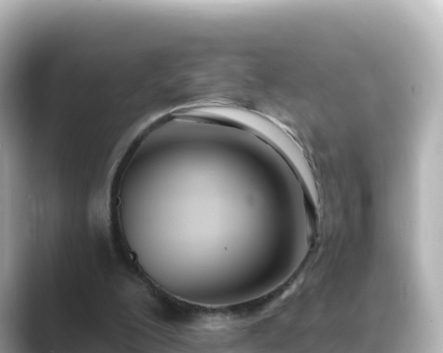 X0000089420200200706221159