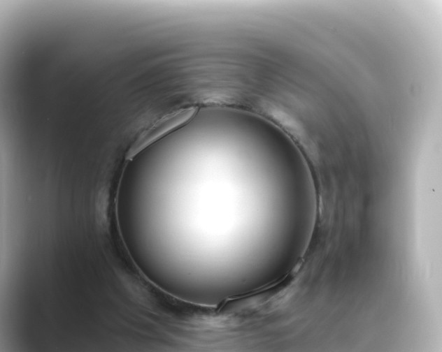 X0000089420201200706221159