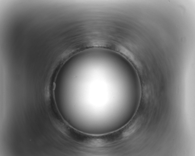 X0000089420203200706221159