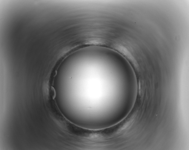 X0000089420204200706221159