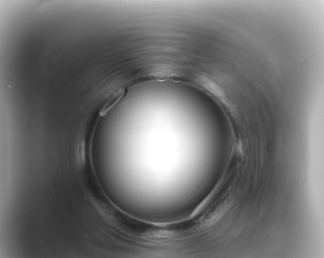 X0000089420205200706221159