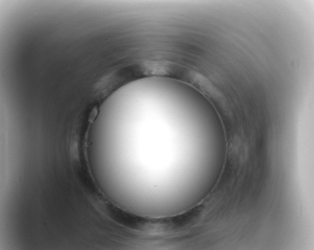 X0000089420209200706221159