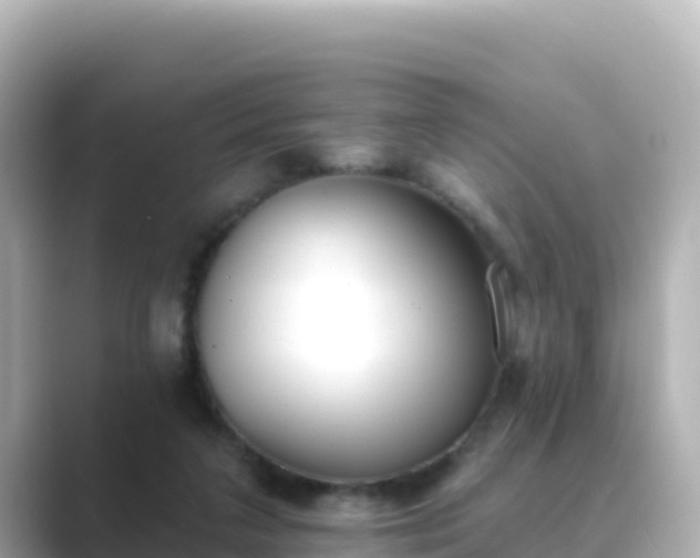 X0000089420211200706221159