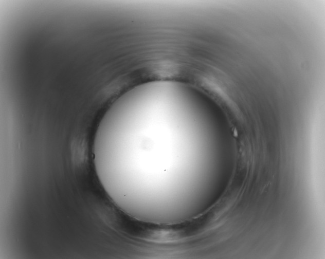 X0000089420212200706221159