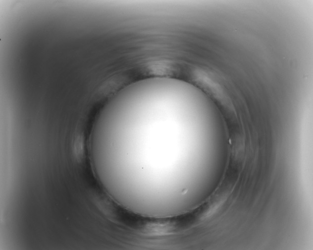 X0000089420213200706221159