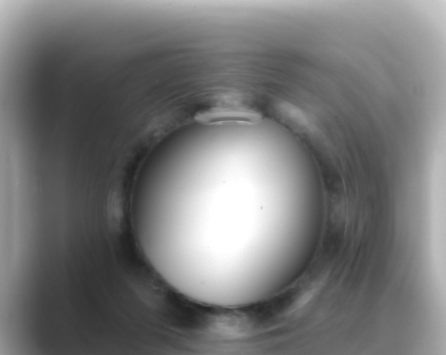 X0000089420215200706221159