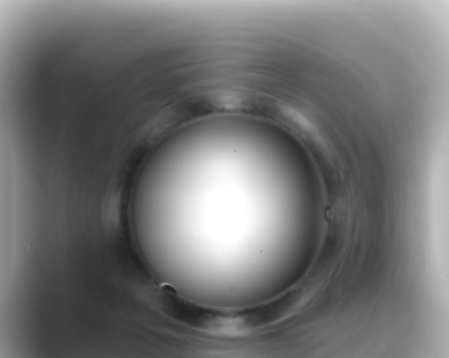 X0000089420217200706221159